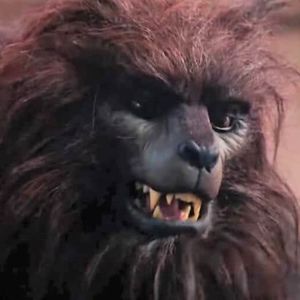 Meet your Posher, Ray